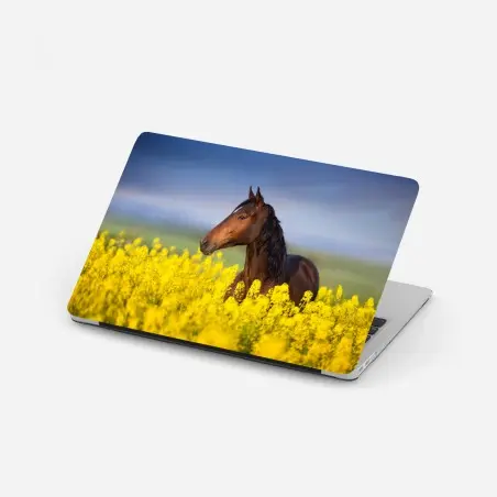 Pegatina para portátil caballo castaño en campo de colza – Pixers®
