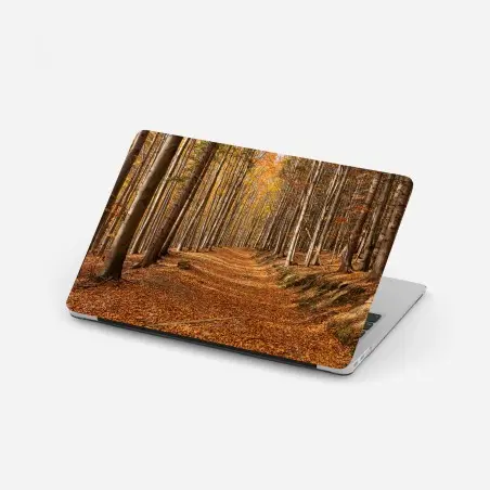 Pegatina para portátil sendero otoñal entre hayas doradas – Pixers®