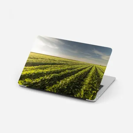 Pegatina para portátil campo de soja al atardecer – Pixers®