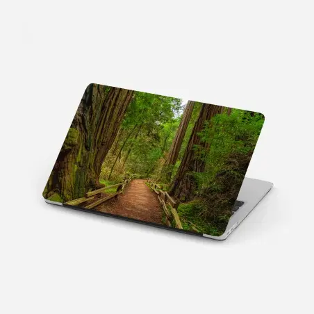 Pegatina para portátil sendero entre secuoyas milenarias – Pixers®