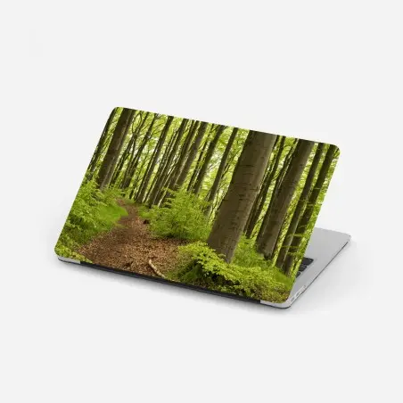 Pegatina para portátil sendero en el bosque de hayas – Pixers®