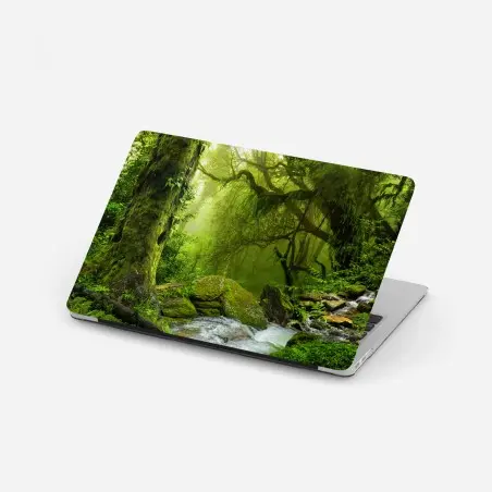 Pegatina para portátil remanso verde en bosque húmedo – Pixers®