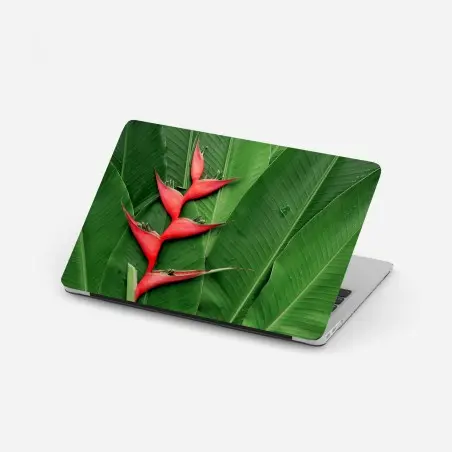 Pegatina para portátil heliconia roja sobre hojas tropicales – Pixers®