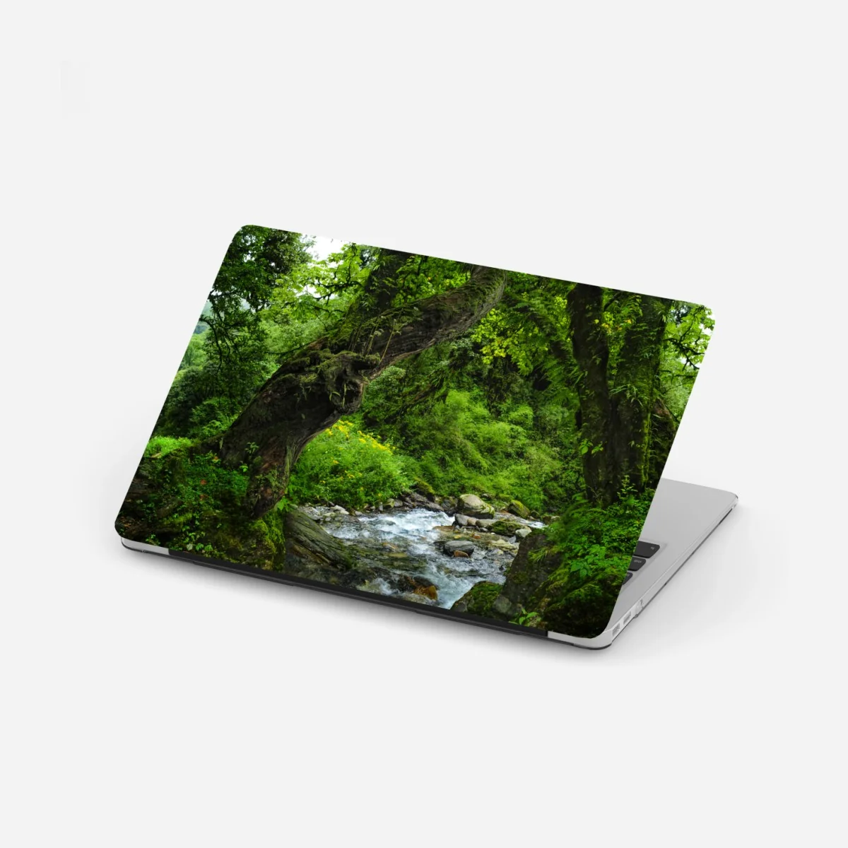 Pegatina para portátil arco natural en bosque verde junto al río – Pixers® Pegatina para portátil arco natural en bosque verde junto al río – Pixers®