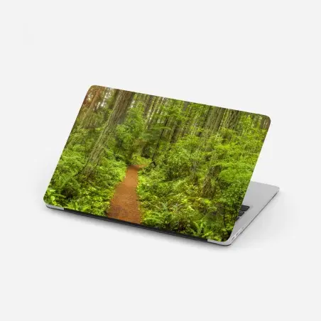 Pegatina para portátil sendero boscoso entre árboles verdes – Pixers®