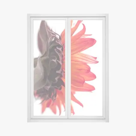 Pegatina para ventana girasol rojo en primer plano sobre fondo blanco – Pixers®