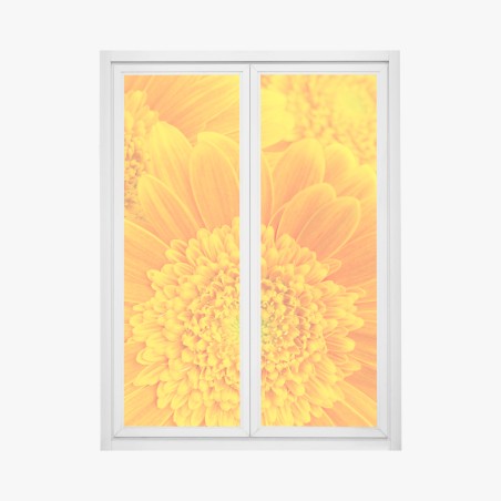 Pegatina para ventana estallido de color: gerberas naranjas en primer plano – Pixers®
