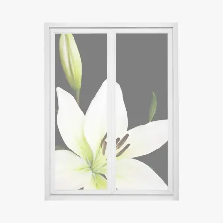 Pegatina para ventana lirio blanco elegante sobre fondo negro – Pixers®