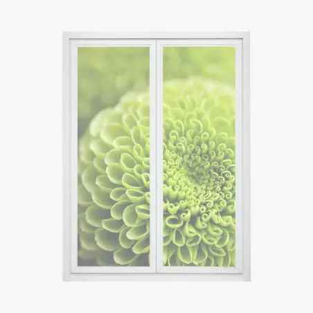 Pegatina para ventana patrón botánico verde en espiral – Pixers®