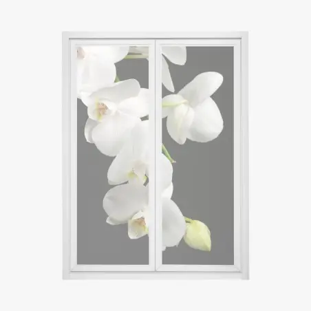 Pegatina para ventana orquídeas blancas sobre fondo negro – Pixers®