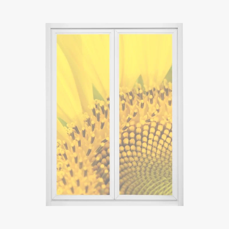 Pegatina para ventana girasol en primer plano