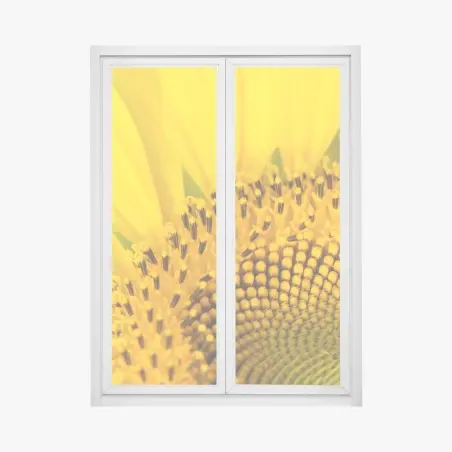 Pegatina para ventana girasol en primer plano – Pixers®