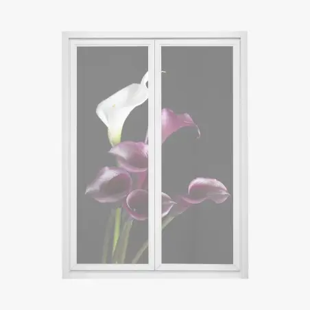 Pegatina para ventana calas en contraste sobre fondo negro – Pixers®