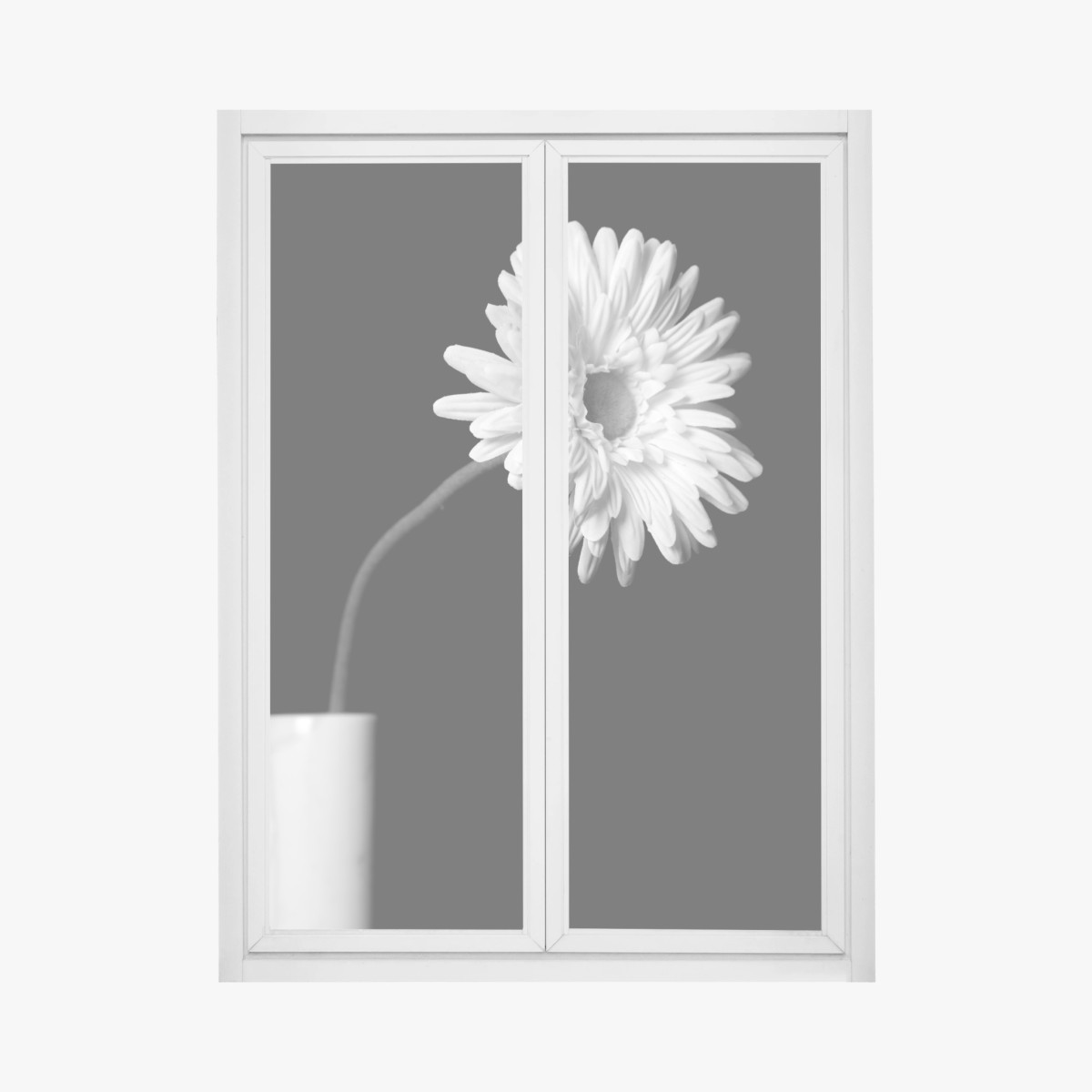 Pegatina para ventana margarita solitaria en alto contraste monocromo – Pixers®