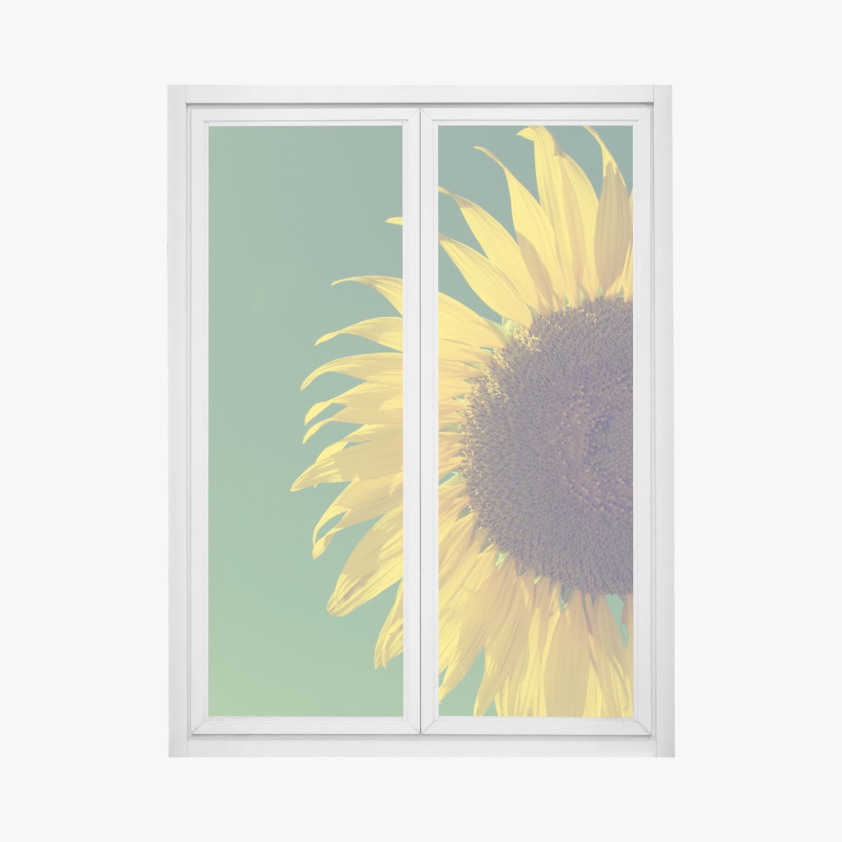 Pegatina para ventana girasol retro sobre cielo azul – Pixers®