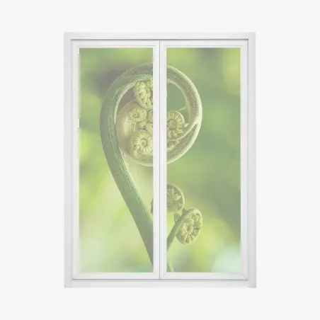 Pegatina para ventana espiral de helecho en crecimiento – Pixers®
