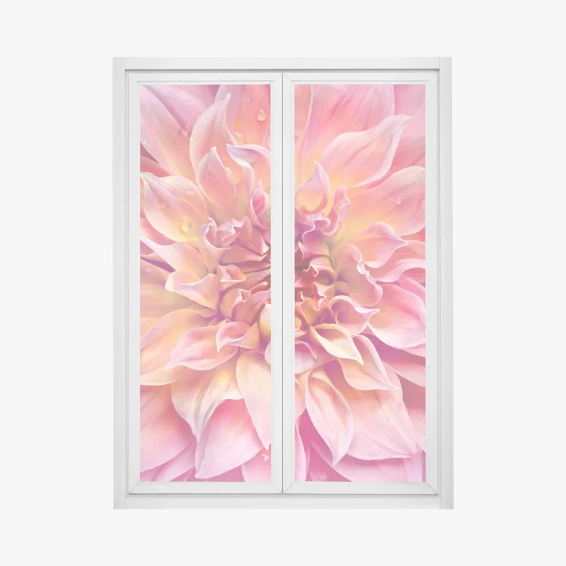 Pegatina para ventana dalia rosa y melocotón en primer plano