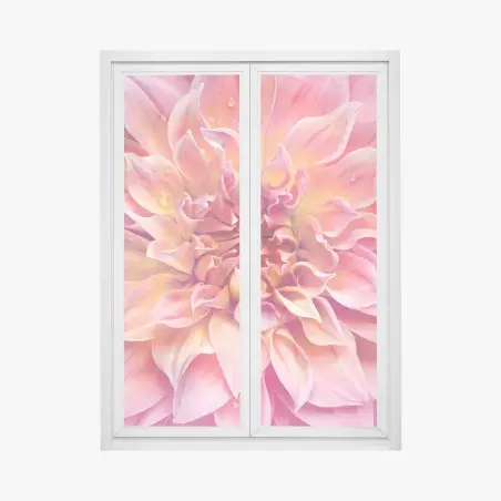 Pegatina para ventana dalia rosa y melocotón en primer plano – Pixers®