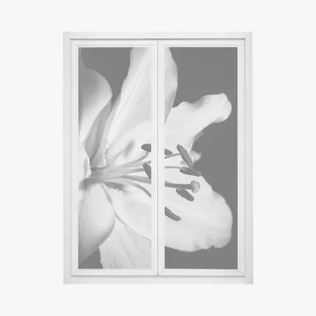 Pegatina para ventana lirio en primer plano blanco y negro – Pixers®