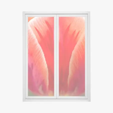 Pegatina para ventana tulipán rojo en primer plano – Pixers®
