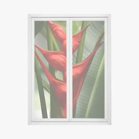Pegatina para ventana heliconia roja en primer plano – Pixers®