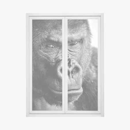 Pegatina para ventana retrato íntimo de gorila en blanco y negro – Pixers®