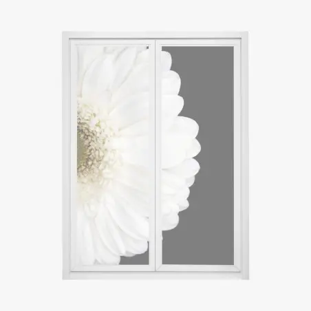 Pegatina para ventana gerbera blanca en fondo negro minimalista – Pixers®