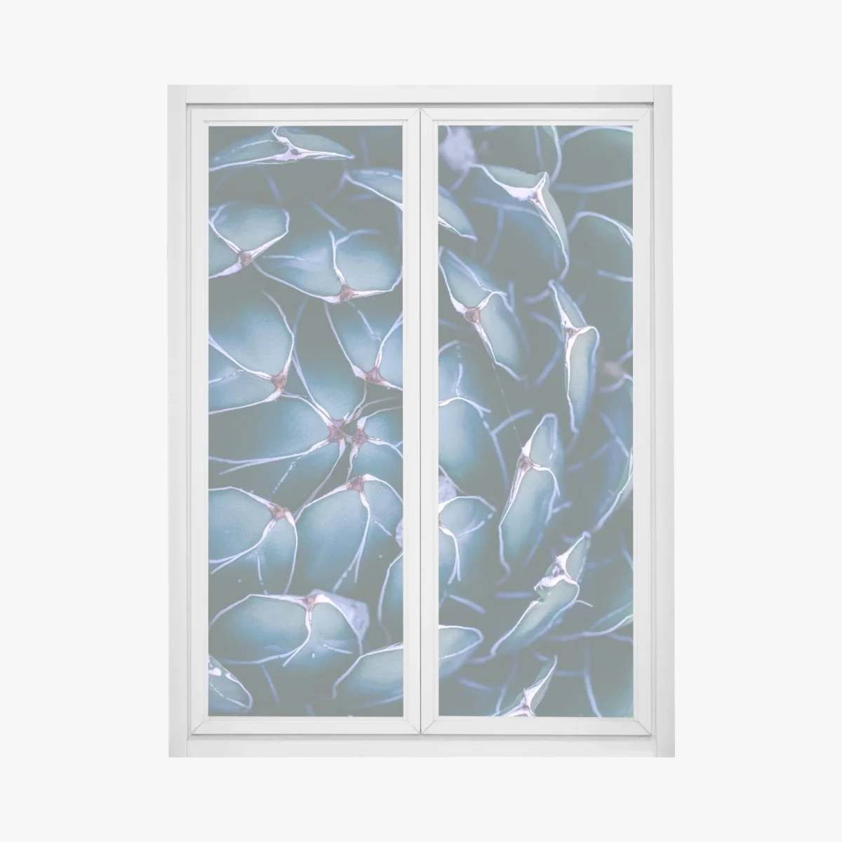 Pegatina para ventana suculenta geométrica en tonos azulados – Pixers® Pegatina para ventana suculenta geométrica en tonos azulados – Pixers®