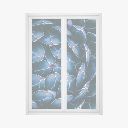 Pegatina para ventana suculenta geométrica en tonos azulados – Pixers®