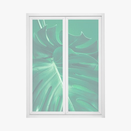 Pegatina para ventana hoja de monstera en primer plano sobre fondo verde – Pixers®