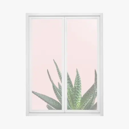 Pegatina para ventana aloe minimalista sobre fondo rosa – Pixers®