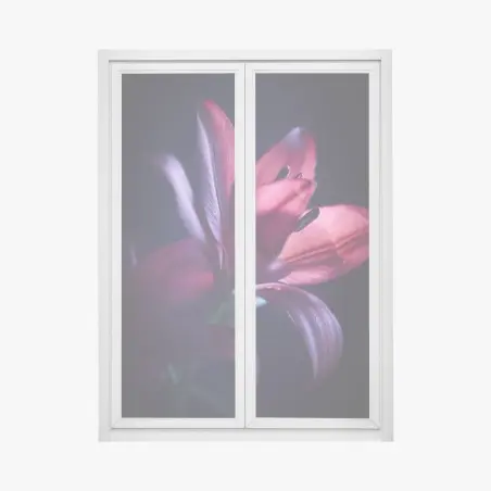 Pegatina para ventana lirio rojo en penumbra – Pixers®