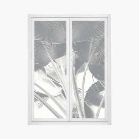 Pegatina para ventana hojas de palma en abanico – Pixers®