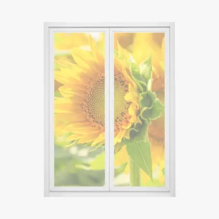 Pegatina para ventana girasol en primer plano luminoso – Pixers®