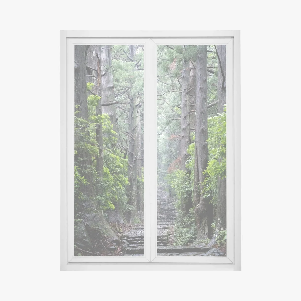 Pegatina para ventana sendero de piedra en bosque milenario – Pixers® Pegatina para ventana sendero de piedra en bosque milenario – Pixers®