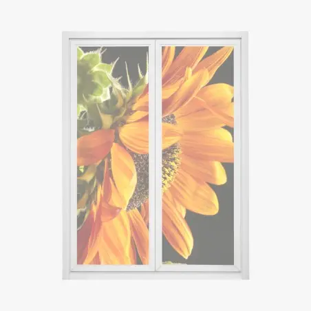 Pegatina para ventana girasol naranja en primer plano – Pixers®