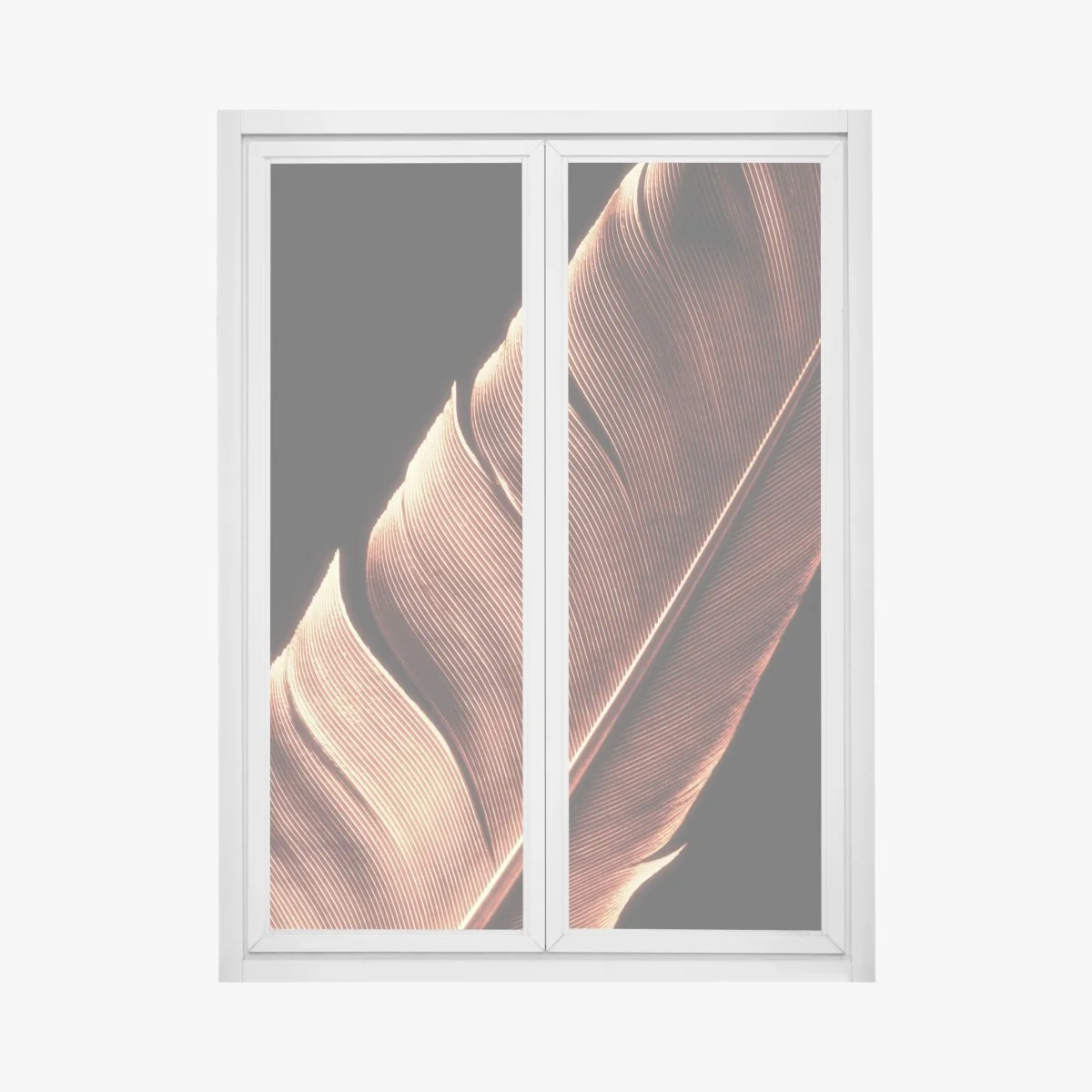 Pegatina para ventana pluma en contraste cálido – Pixers® Pegatina para ventana pluma en contraste cálido – Pixers®
