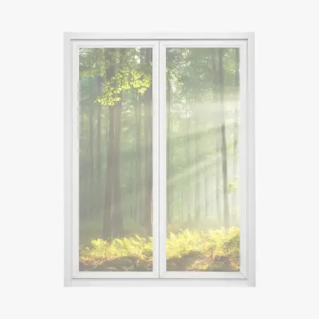 Pegatina para ventana amanecer otoñal en bosque antiguo – Pixers®