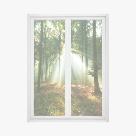 Pegatina para ventana luz entre los árboles al amanecer – Pixers®