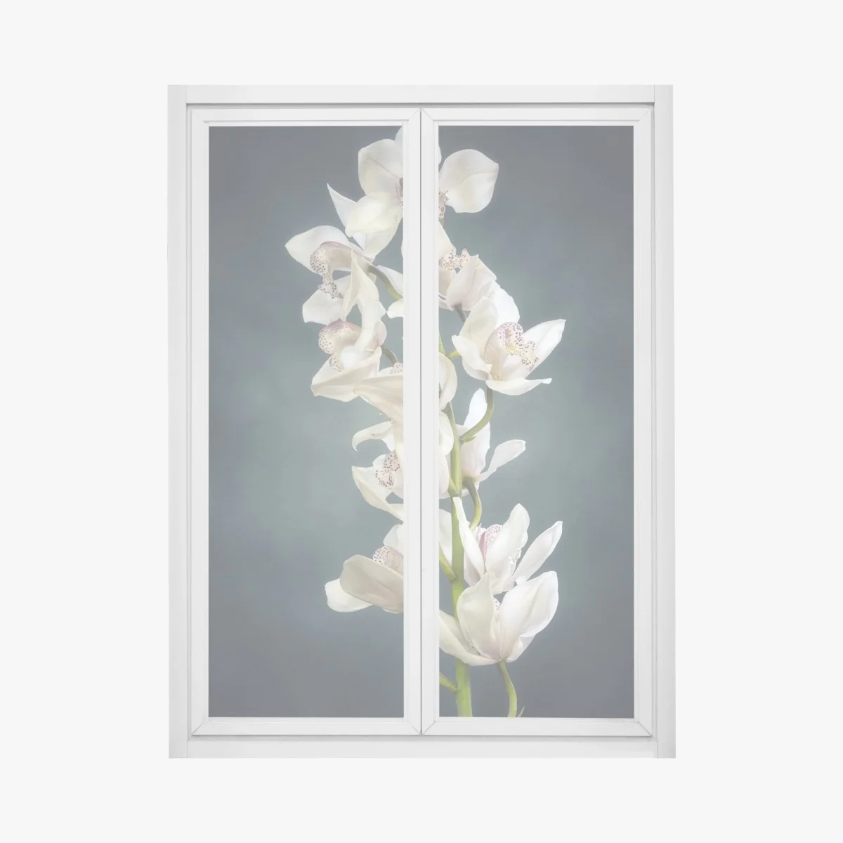 Pegatina para ventana orquídeas blancas sobre fondo oscuro – Pixers® Pegatina para ventana orquídeas blancas sobre fondo oscuro – Pixers®