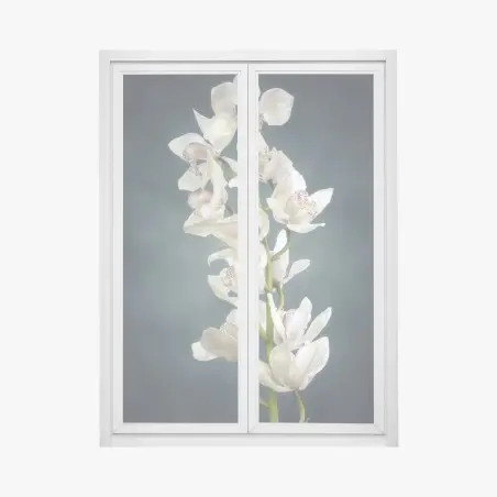 Pegatina para ventana orquídeas blancas sobre fondo oscuro – Pixers®