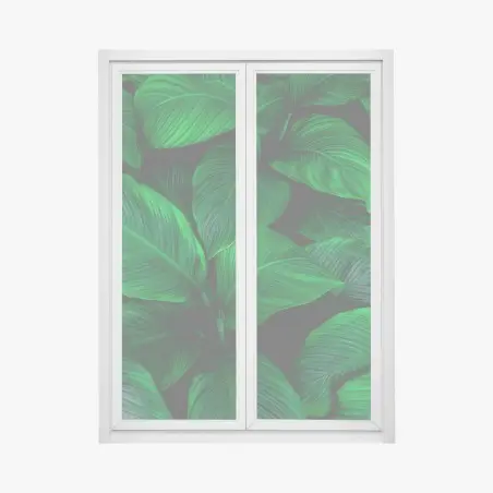 Pegatina para ventana follaje tropical en tonos verdes intensos – Pixers®
