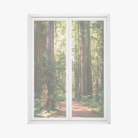 Pegatina para ventana sendero entre majestuosas secuoyas – Pixers®