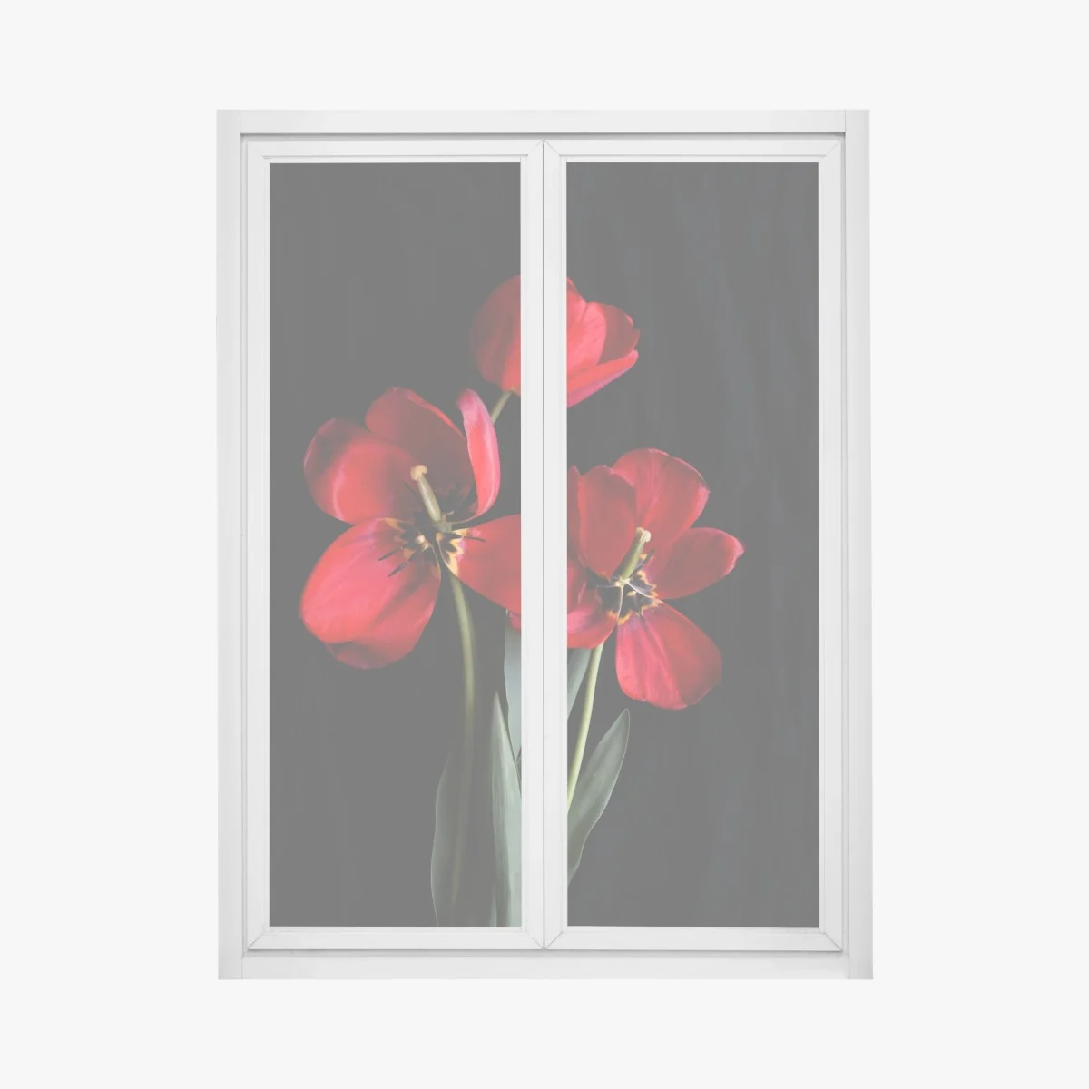 Pegatina para ventana arreglo de tulipanes rojos sobre fondo negro – Pixers® Pegatina para ventana arreglo de tulipanes rojos sobre fondo negro – Pixers®