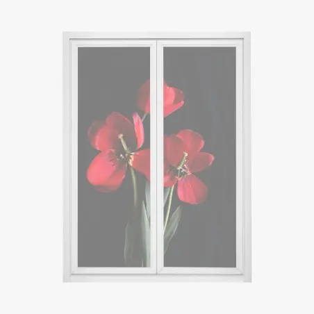 Pegatina para ventana arreglo de tulipanes rojos sobre fondo negro – Pixers®