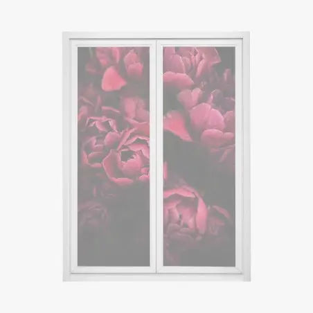 Pegatina para ventana tulipanes rojos con gotas de rocío – Pixers®