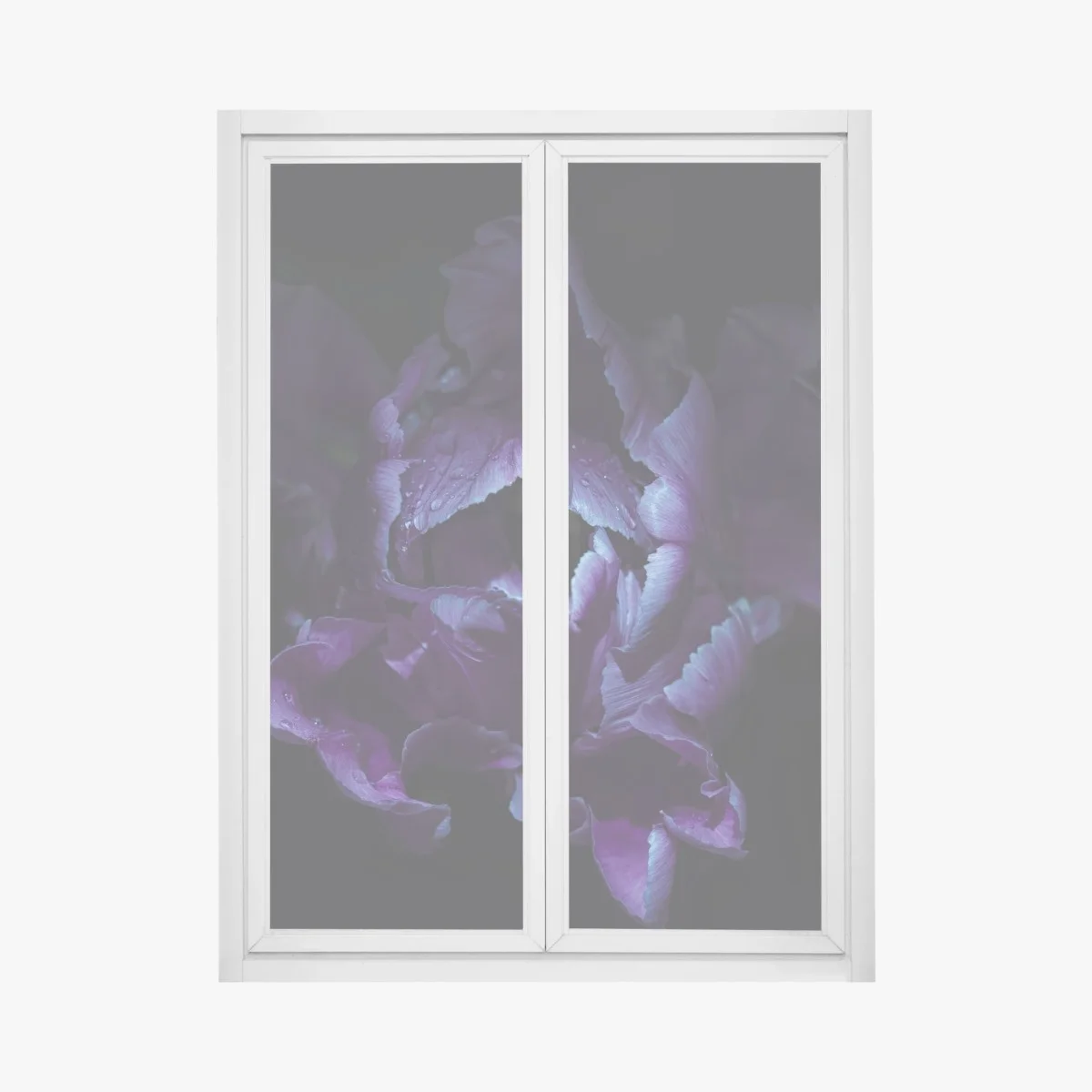 Pegatina para ventana tulipán púrpura en luz ultravioleta – Pixers® Pegatina para ventana tulipán púrpura en luz ultravioleta – Pixers®