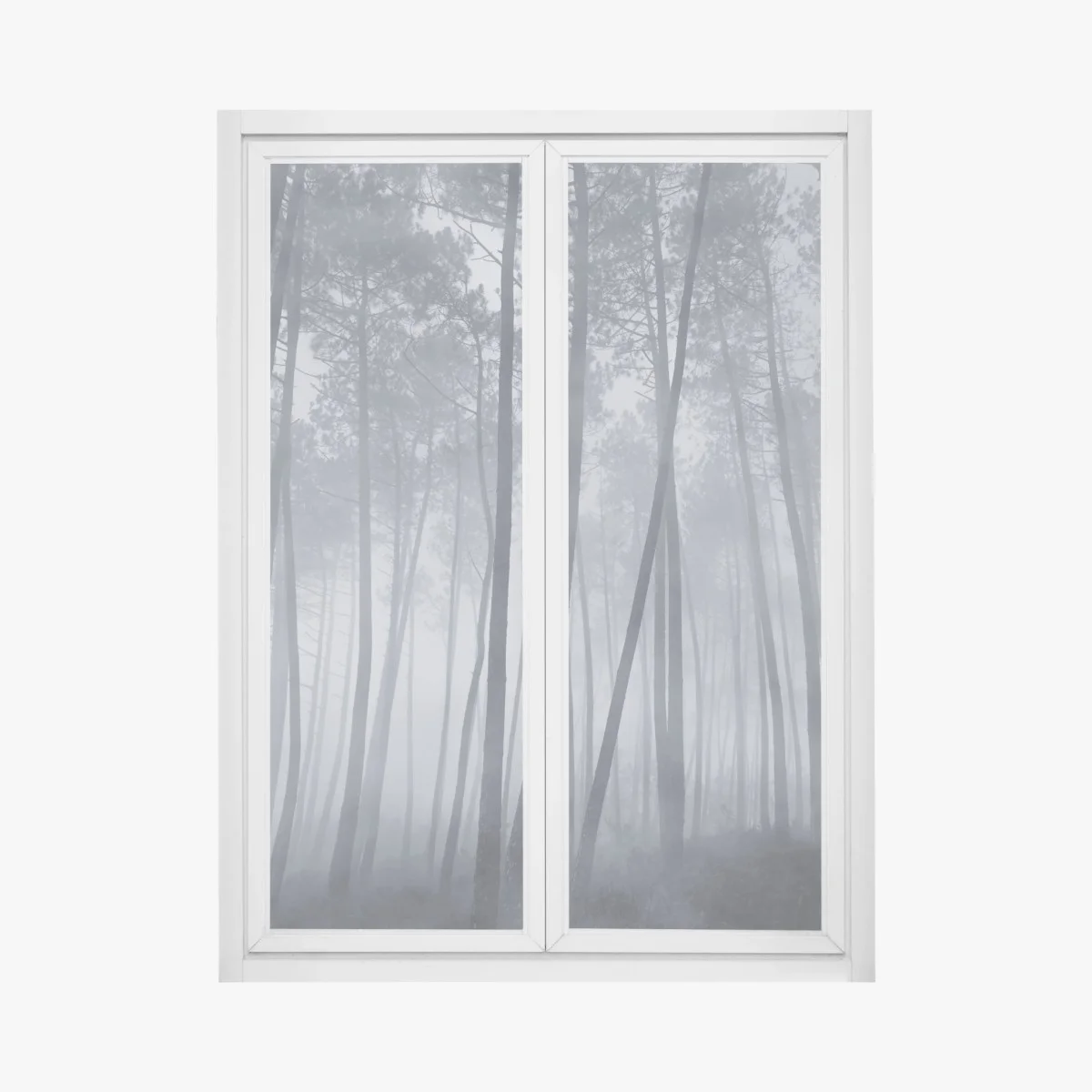 Pegatina para ventana bosque de pinos en niebla nocturna – Pixers® Pegatina para ventana bosque de pinos en niebla nocturna – Pixers®