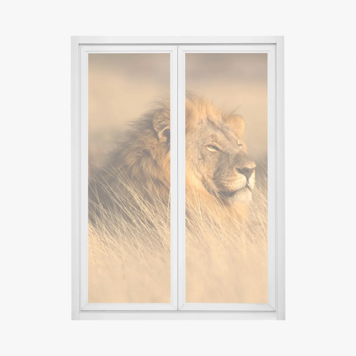 Pegatina para ventana retrato majestuoso de un león en la sabana – Pixers® Pegatina para ventana retrato majestuoso de un león en la sabana – Pixers®