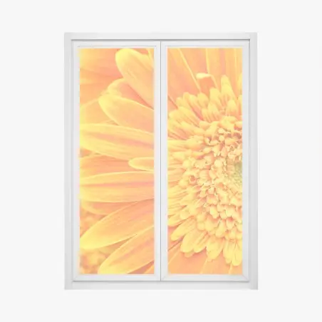 Pegatina para ventana vibrante gerbera naranja en primer plano – Pixers®